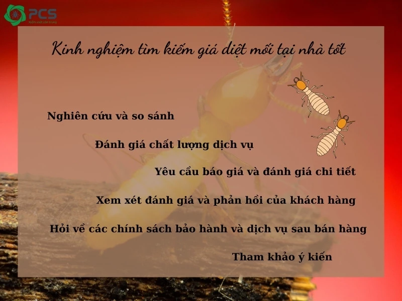 Giá diệt mối tại nhà 